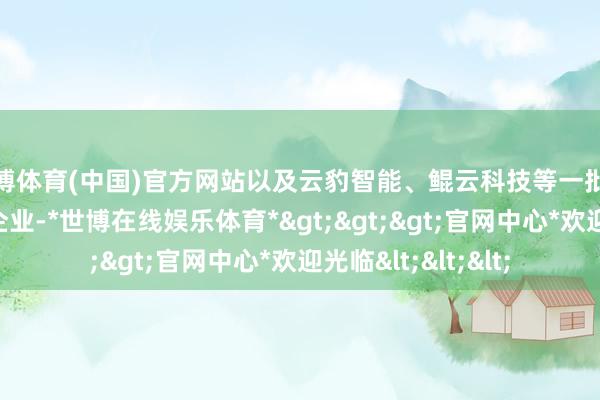 世博体育(中国)官方网站以及云豹智能、鲲云科技等一批快速成长的中小微企业-*世博在线娱乐体育*>>>官网中心*欢迎光临<<<