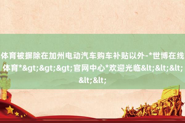 世博体育被摒除在加州电动汽车购车补贴以外-*世博在线娱乐体育*>>>官网中心*欢迎光临<<<