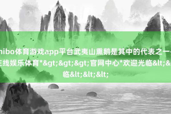 shibo体育游戏app平台武夷山熏鹅是其中的代表之一-*世博在线娱乐体育*>>>官网中心*欢迎光临<<<